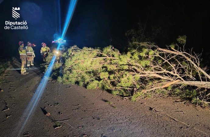 El Consorci de Bombers va realitzar este diumenge 43 serveis relacionats amb el vent