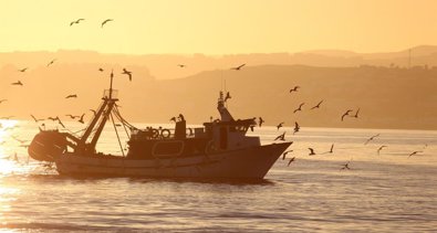 Pesca Galicia