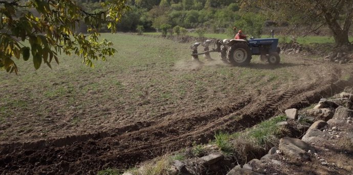 Estas ayudas sufragan parte del coste de los seguros agrarios de 2024.