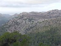 El incendio de Andratx ya está controlado y las primeras investigaciones apuntan a una negligencia