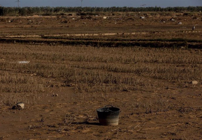 Restos de la DANA en un campo de arrozales en las inmediaciones de la Albufera, a un mes del paso de la DANA por Valencia, a 29 de noviembre de 2024, en Valencia, Comunidad Valenciana (España).