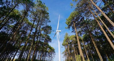 Energía y Medio Ambiente