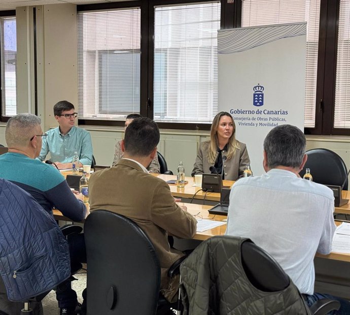 La directora general de Transportes y Movilidad de Canarias, María Fernández, expone a las administraciones de Gran Canaria las claves del proceso participativo para elaborar la primera ley de movilidad sostenible de Canarias