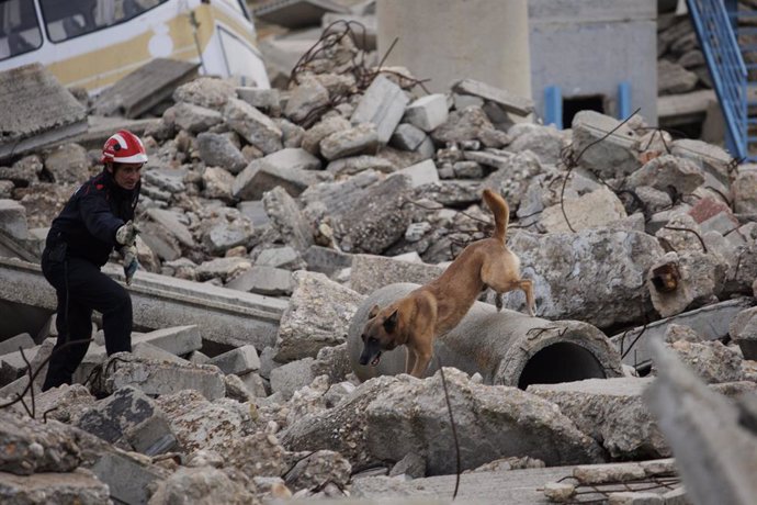 Archivo - Un ertzaintza y un perro de búsqueda realizan maniobras  de rescate durante un entrenamiento de las Fuerzas y Cuerpos de Seguridad del Estado, a 24 de octubre de 2022, en Madrid (España). 