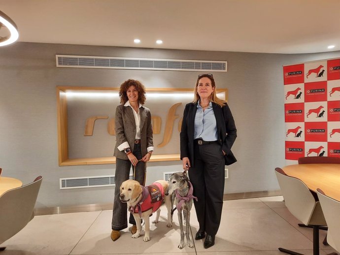 Renfe incluye la ruta Madrid-Sevilla entre las que permiten viajar con perros de hasta 40 kilos.