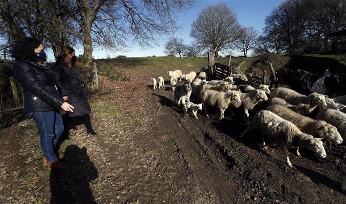 Archivo - Medidas de prevención instaladas para evitar daños de fauna silvestre