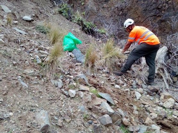 Retirada de flora exótica en el Parque Rural de Anaga