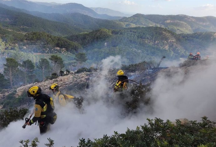 Efectivos trabajando en el incendio en Andratx