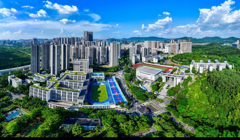 Comunicados Internacional