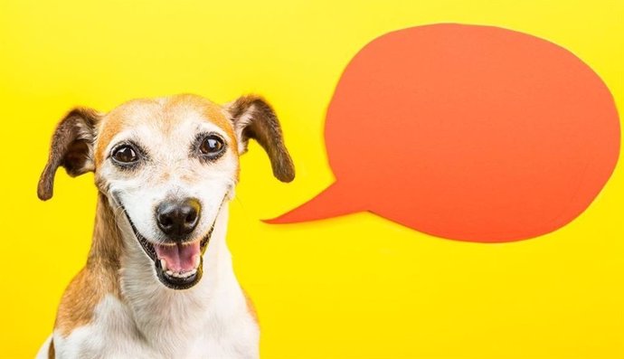 Un estudio demuestra que los perros usan combinaciones de dos palabras para comunicarse