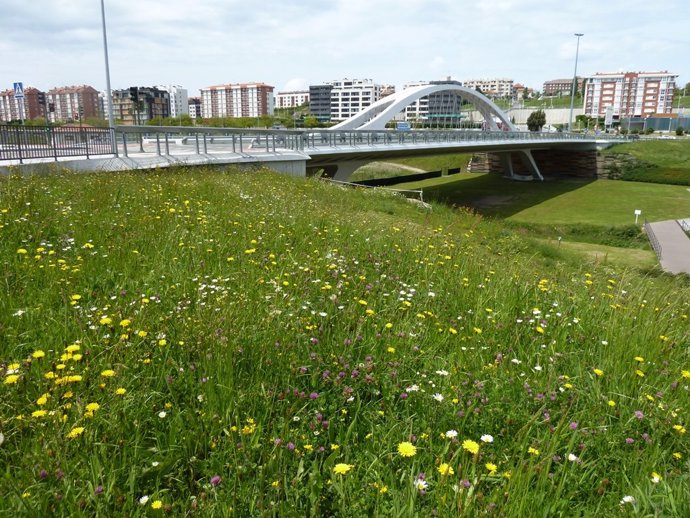 Archivo - Acción de fomento de la biodiversidad en el Parque de Las Llamas