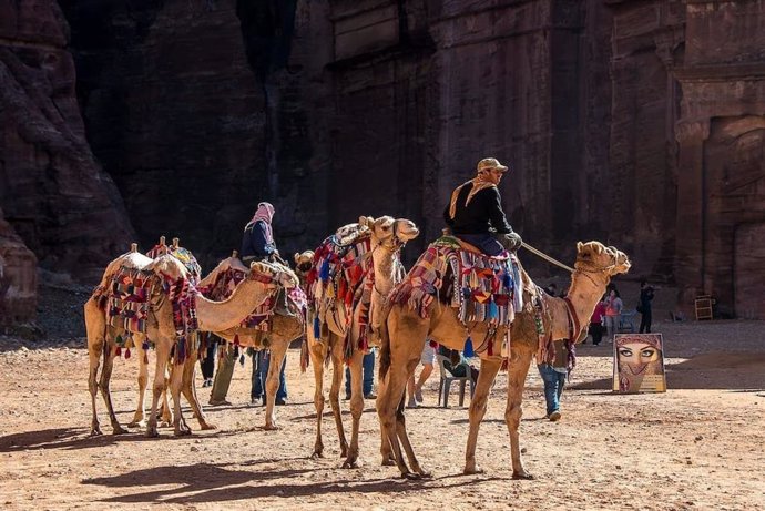 Nace en España el primer curso para fomentar el turismo responsable con los animales