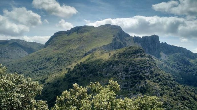 Montaña en la zona oriental de Cantabria