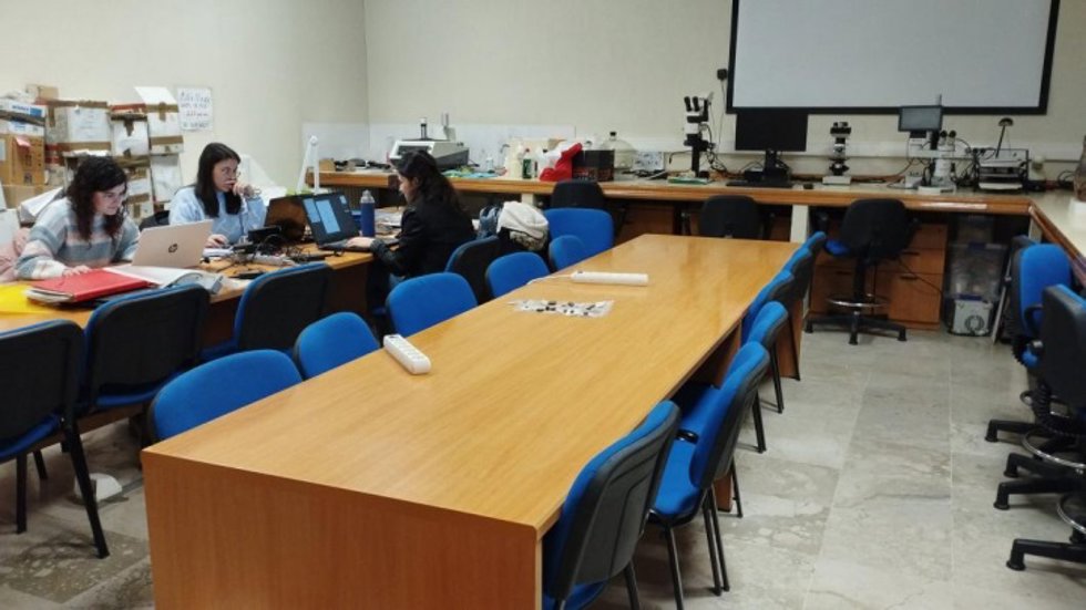 Instalaciones del Departamento de Prehistoria y Arqueología de la Universidad de Granada