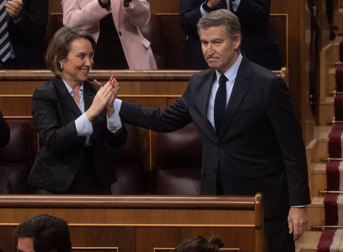 El presidente del Partido Popular, Alberto Núñez Feijóo, es aplaudido tras intervenir durante una sesión plenaria, en el Congreso de los Diputados, a 27 de noviembre de 2024, en Madrid (España).