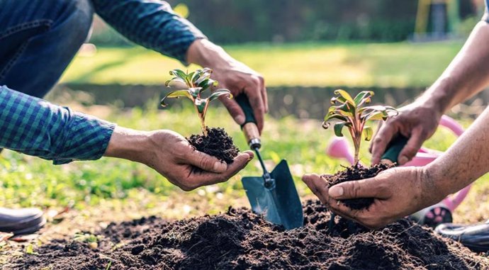 BBVA destinará 300.000 euros a cuatro proyectos solidarios de ámbito social y medioambiental en 2025