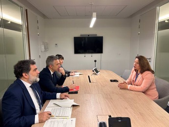 El consejero de Medio Ambiente, Agricultura e Interior de la Comunidad de Madrid, Carlos Novillo, durante su participación en el Consejo de Consejo de Ministros de Agricultura y Desarrollo Rural de la Unión Europea, celebrado esta semana en Bruselas.