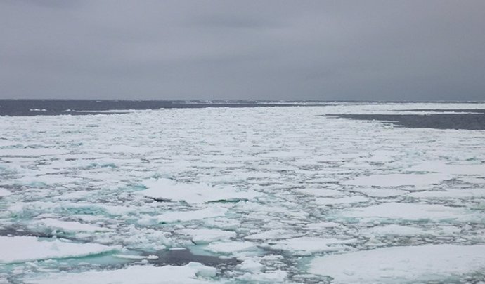 Hielo marino antártico