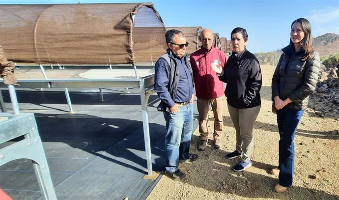 La consejera de Medio Natural del Cabildo de Tenerife, Blanca Pérez, y la presidenta de Fundación Moeve, Belén Machado, en una visita al vivero del Parque Nacional del Teide