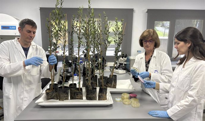 Doctores responsables de la investigación en su laboratorio de Granada