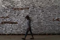 La OIM pide 28,5 millones de euros para ayudar a casi 700.000 personas en el noroeste de Siria este invierno