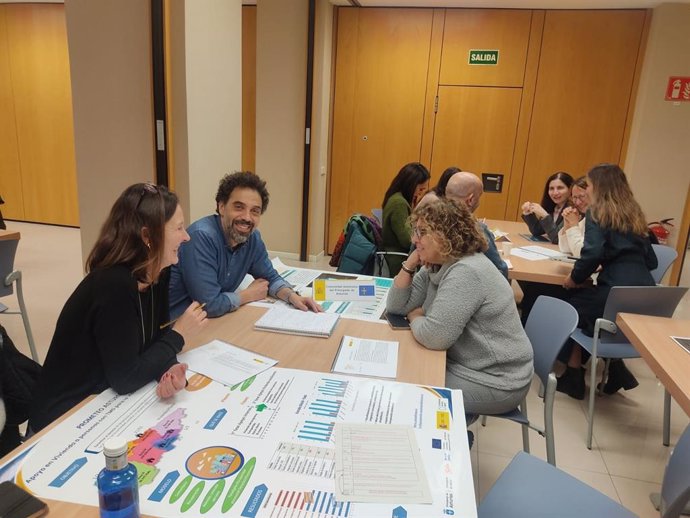 Baleares presenta al resto de CCAA tres programas innovadores de salud mental.