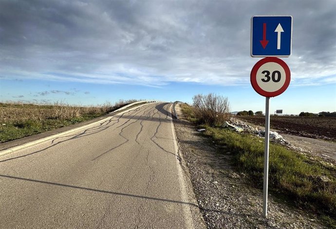 Puente de acceso a la barriada rural de Mesas de Santa Rosa en Jerez de la Frontera (Cádiz) con grietas en el asfalto.