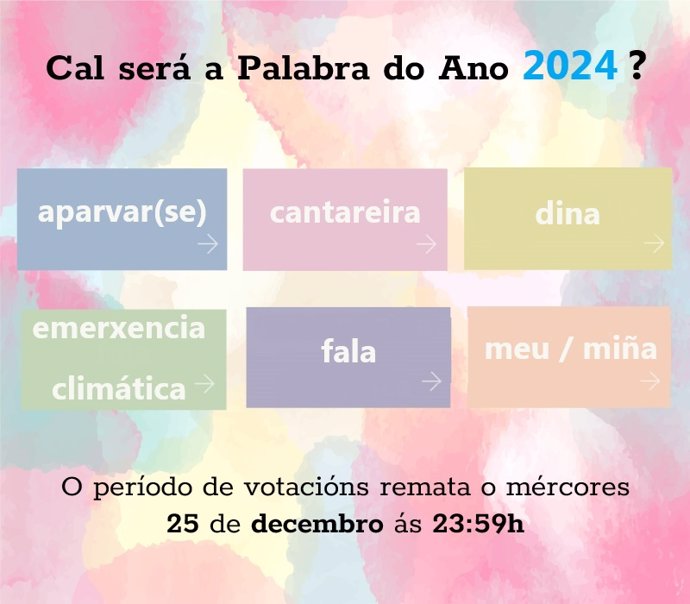 'Cantareira, 'Aparvar(Se)', 'Dina', 'Emerxencia Climática', 'Fala' Y 'Meu'; Finalistas A Palabra Do Ano 2024 De La RAG