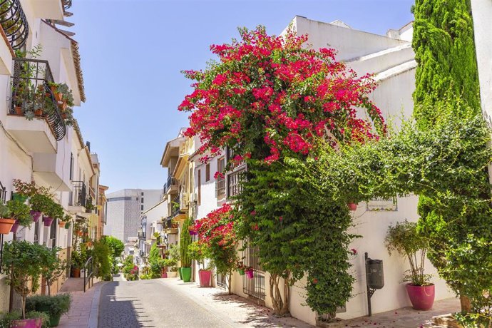 Archivo - Estepona, reconocida por la protección y puesta en valor de sus espacios verdes