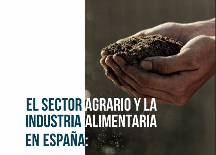 Imagen del informe 'El Sector Agrario y la Industria Alimentaria en España: Principales rasgos y análisis regional en 2023' de Unicaja