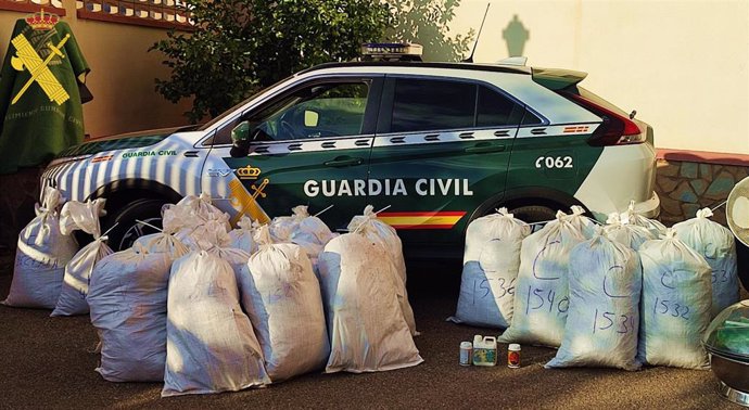 Marihuana intervenida en Paterna del Río (Almería).