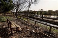 Medio Ambiente estima en 50 millones de euros la inversión necesaria para la recuperación de l'Albufera y el Turia