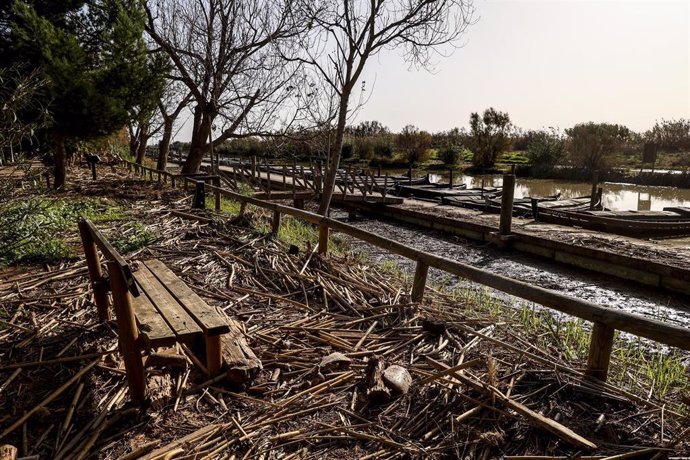 Restos de la DANA en el Puerto de Catarroja de la Albufera, a un mes del paso de la DANA por Valencia, a 29 de noviembre de 2024, en Valencia