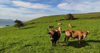 Asturias Rural