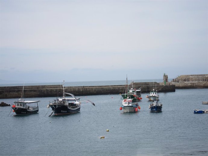 Archivo - Pesca, puerto, mar, Tapia de Casariego, Asturias