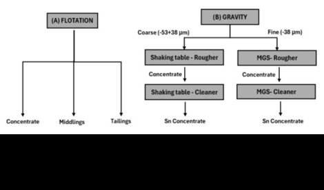 Comunicados Internacional