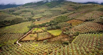 Andalucía