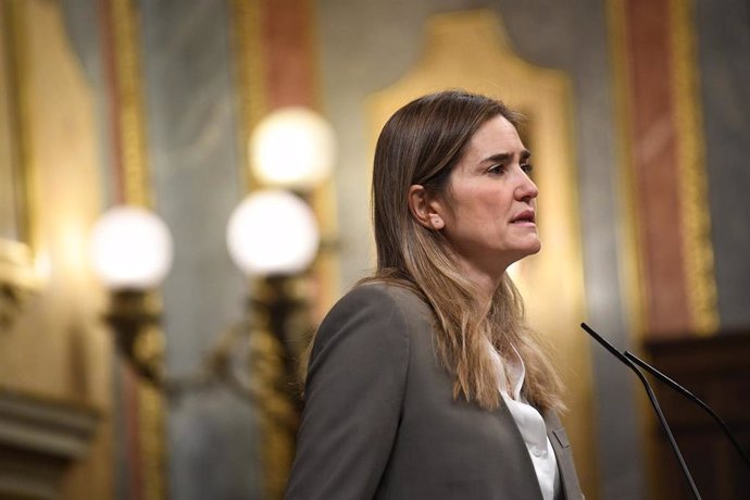 La vicepresidenta tercera y ministra para la Transición Ecológica y el Reto Demográfico, Sara Aagesen, interviene durante una sesión plenaria en el Congreso de los Diputados, a 11 de diciembre de 2024, en Madrid (España). 