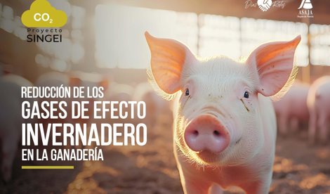 Comunicados Sociedad