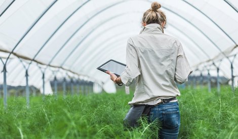 Comunicados Internacional