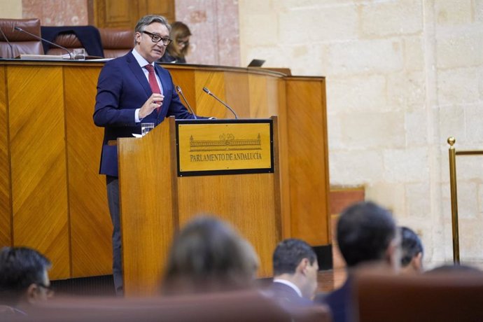 El portavoz del Grupo Vox en Andalucía, Manuel Gavira, este miércoles en su intervención en el Debate sobre el estado de la Comunidad.