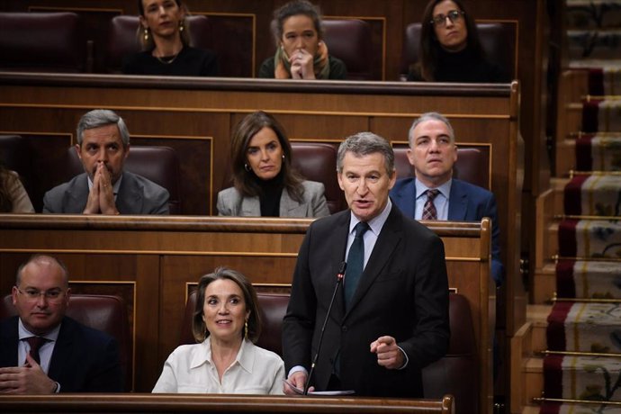 El presidente del PP, Alberto Núñez Feijóo, interviene durante una sesión de control al Gobierno en el Congreso de los Diputados, a 11 de diciembre de 2024, en Madrid (España). 