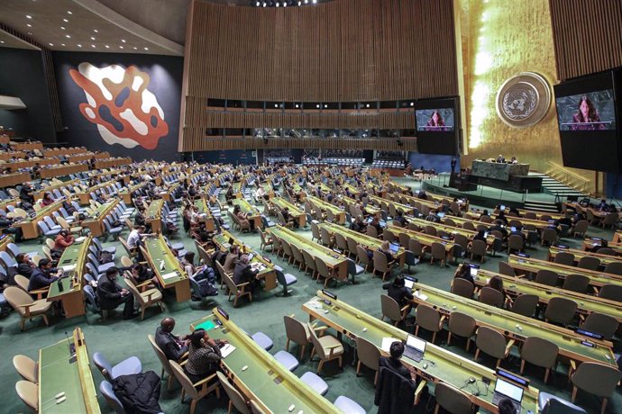 La Asamblea General de Naciones Unidas