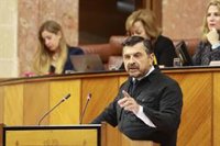 PP-A ve al PSOE-A centrado en su debate interno: "Esta Navidad se va a cocinar a fuego lento un pavo, el señor Espadas"