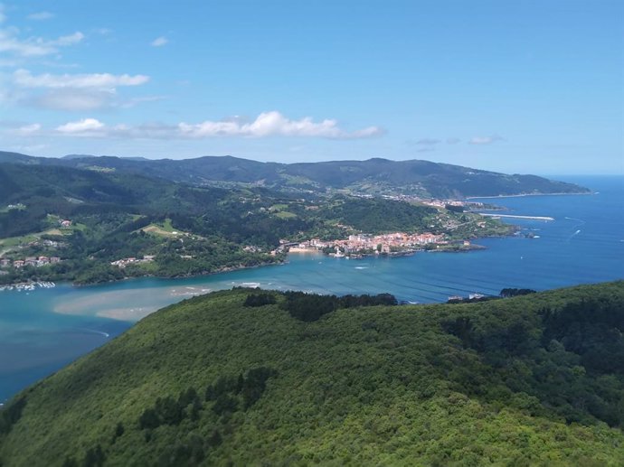 Archivo - Urdaibai (Bizkaia)