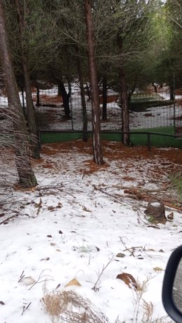 Nieve en Peña Escrita