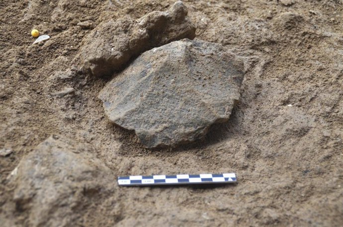 Restos encontrados durante la campaña de excavaciones en la balma de La Griera de Calafell (Tarragona)