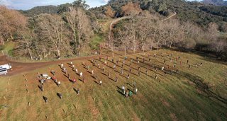 Cantabria Cultura y Deportes