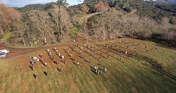 Cantabria Cultura y Deportes