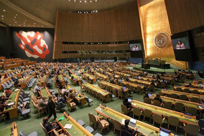 Vista general de una reunión en la Asamblea General de Naciones Unidas (archivo)